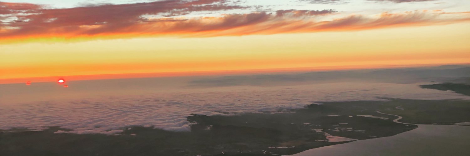 Ori Dotan {V} banner