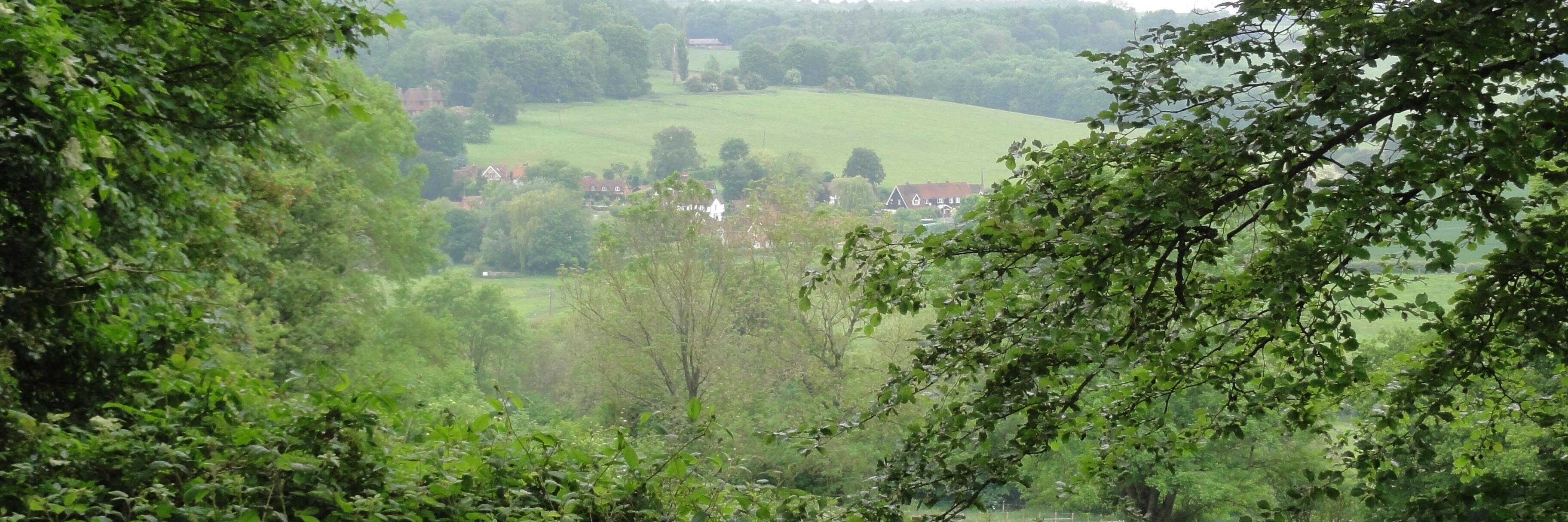 SCDSIXTHFORM's profile banner image