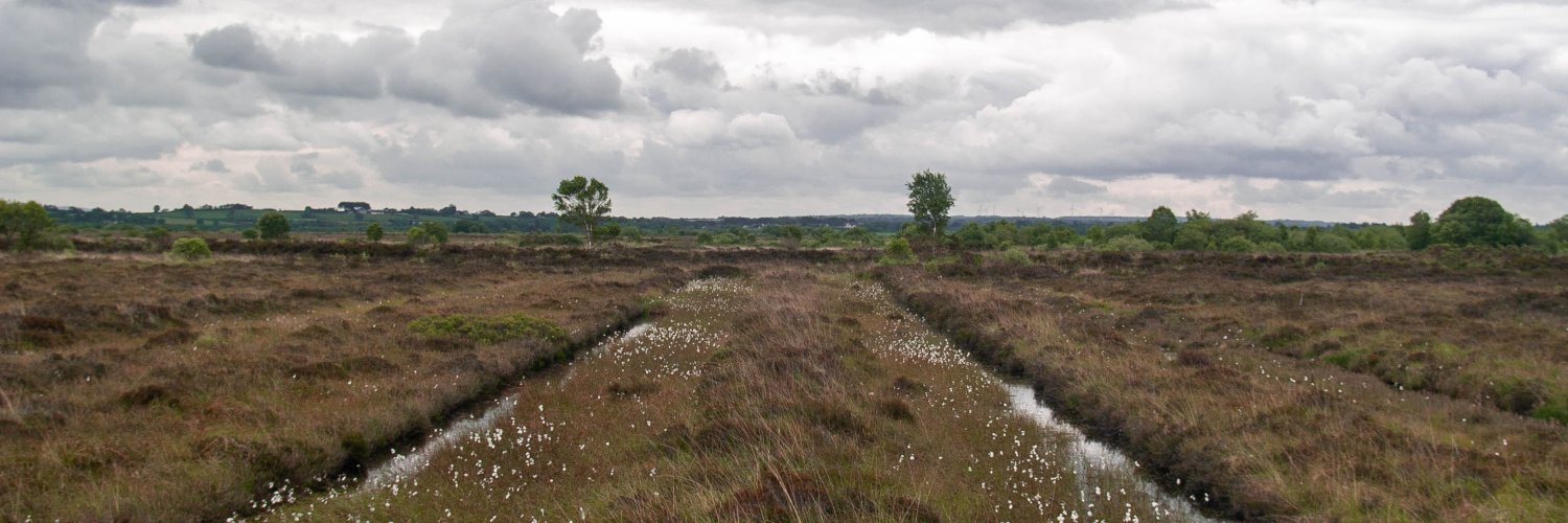 Callum Robert Clifford Evans banner