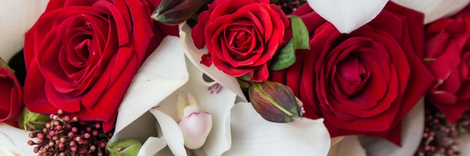 SarahCK87's profile banner image
