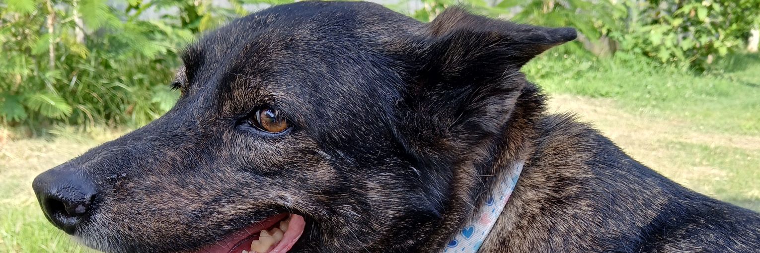 พข ต้องทราบไหม banner