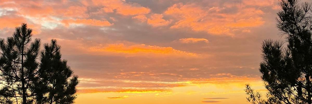 jaimanel's profile banner image