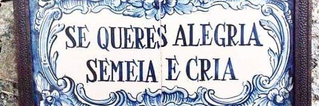 floresgera's profile banner image