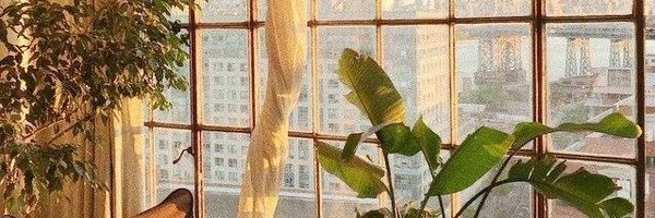 CKujur Profile Banner