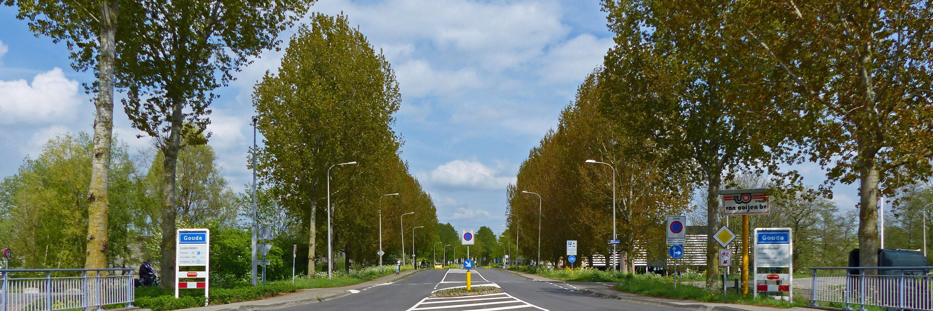 Wijkteam Goverwelle banner