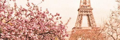 fiska_ica's profile banner image