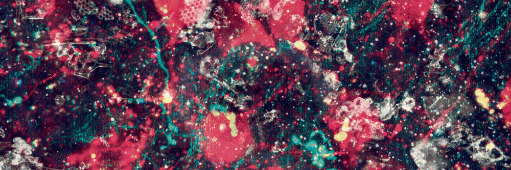 R_JeanMarcel's profile banner image