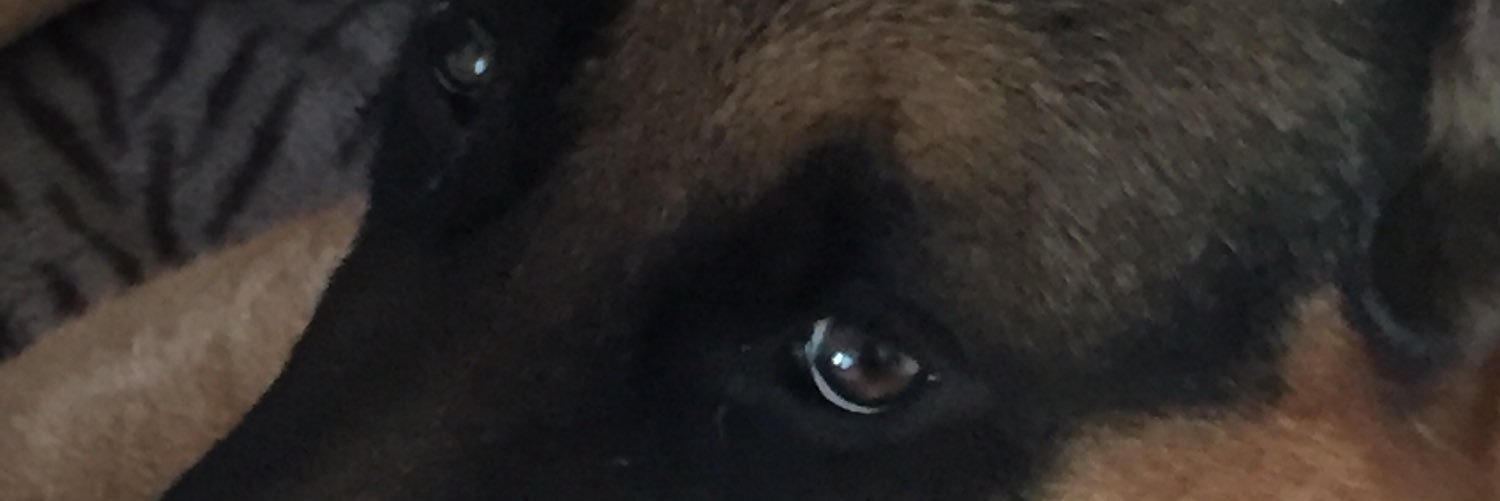 Raks_De's profile banner image
