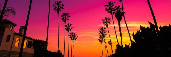 Barba Roja 🍉 banner