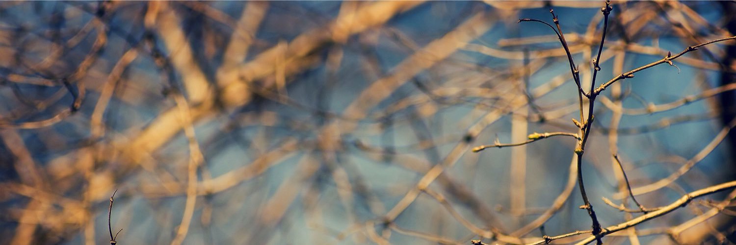 Alex_Sigaev's profile banner image