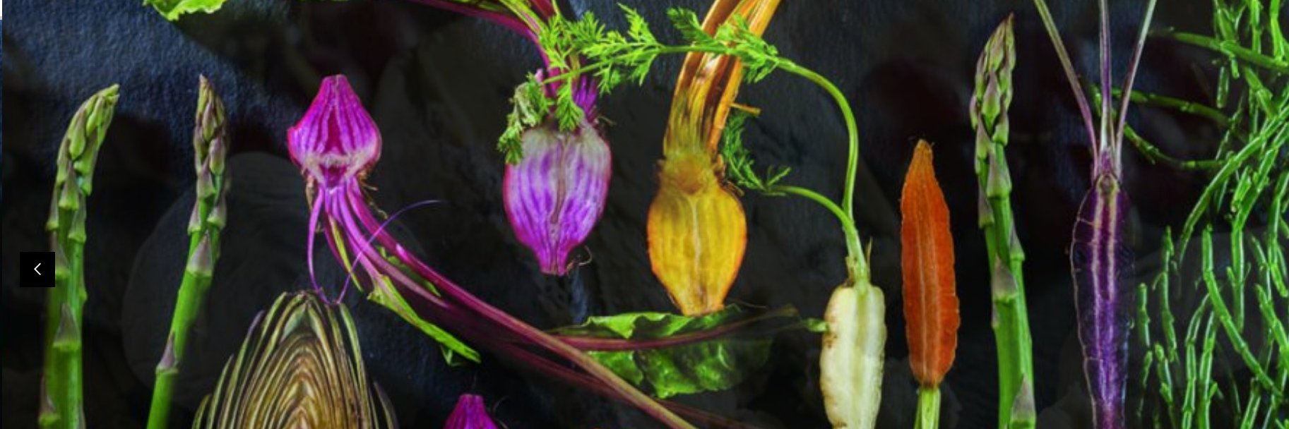 Country Fresh Foods banner