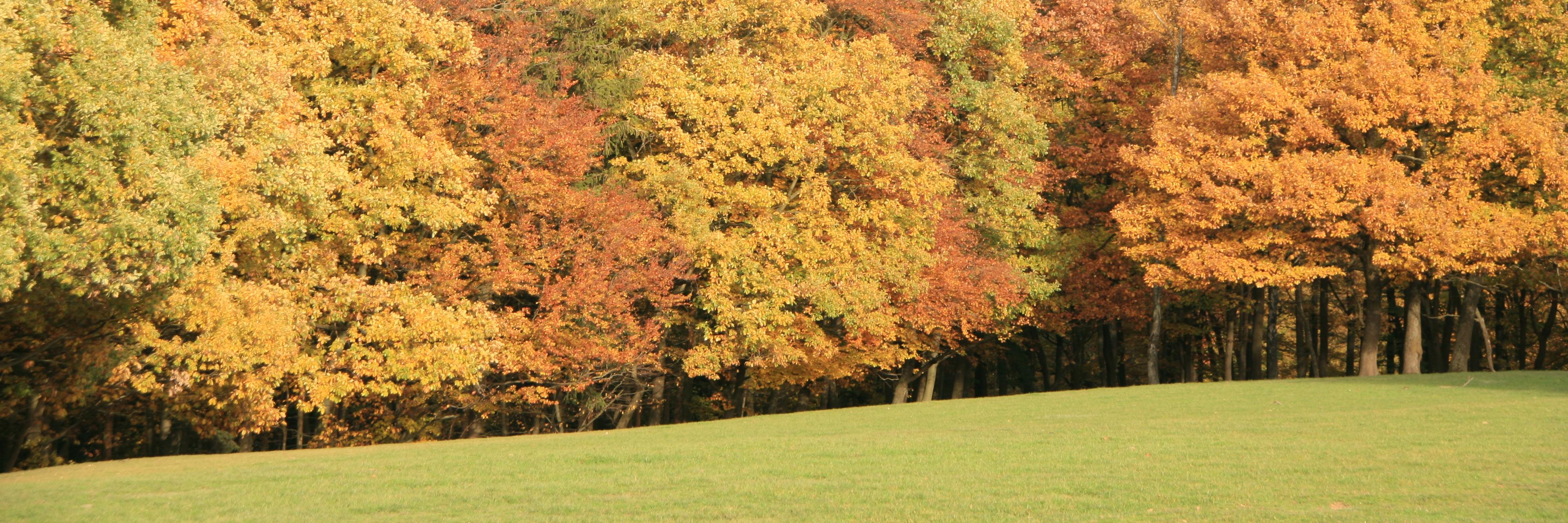 eva_kalmar's profile banner image