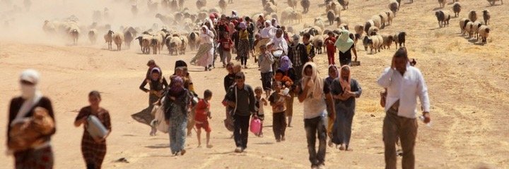 Rickson Rios Figueira banner