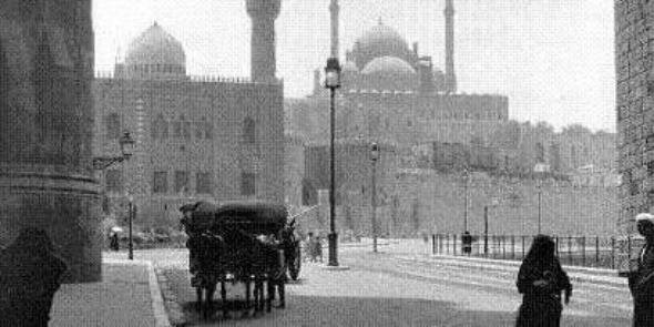 sewarmisr's profile banner image