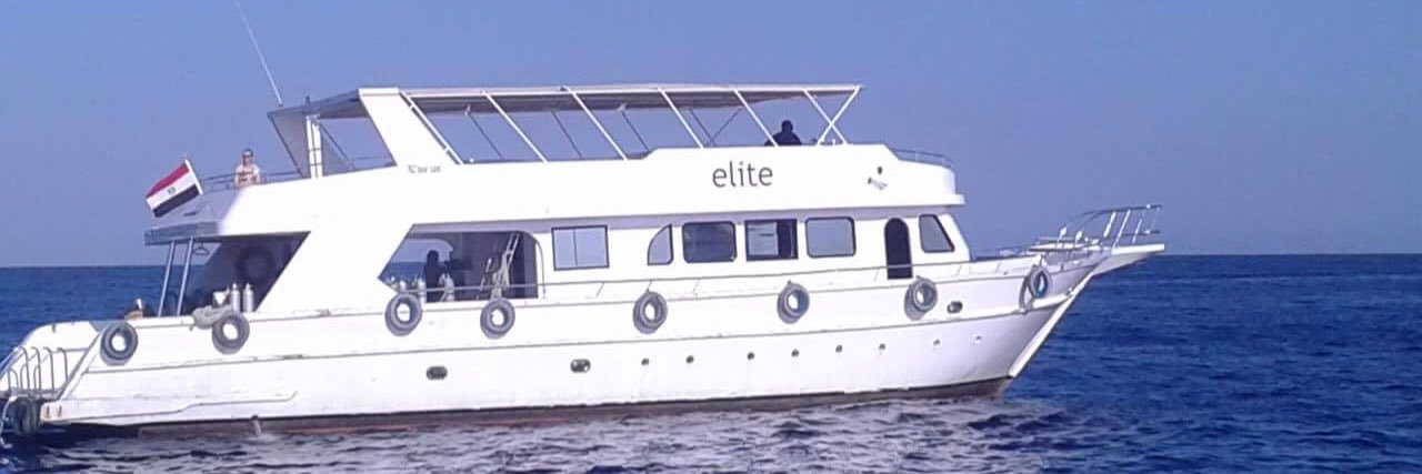 Elite_Diving's profile banner image
