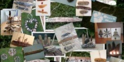 shellsdriftwood's profile banner image