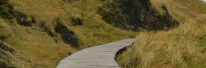 izzicorrea's profile banner image