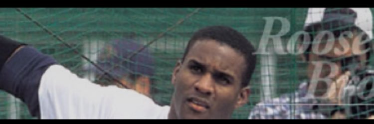 Roosevelt L. Brown banner