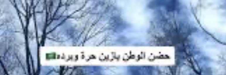 hadi4388's profile banner image