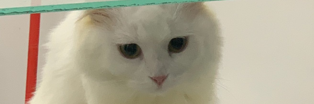 redzrex's profile banner image