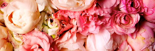 ZyCasting Profile Banner