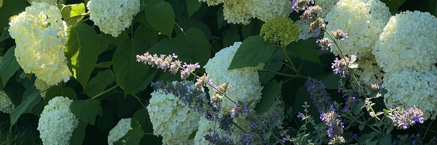 aishaaa_'s profile banner image