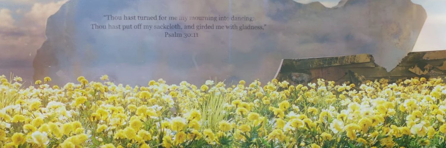SopinyaR's profile banner image
