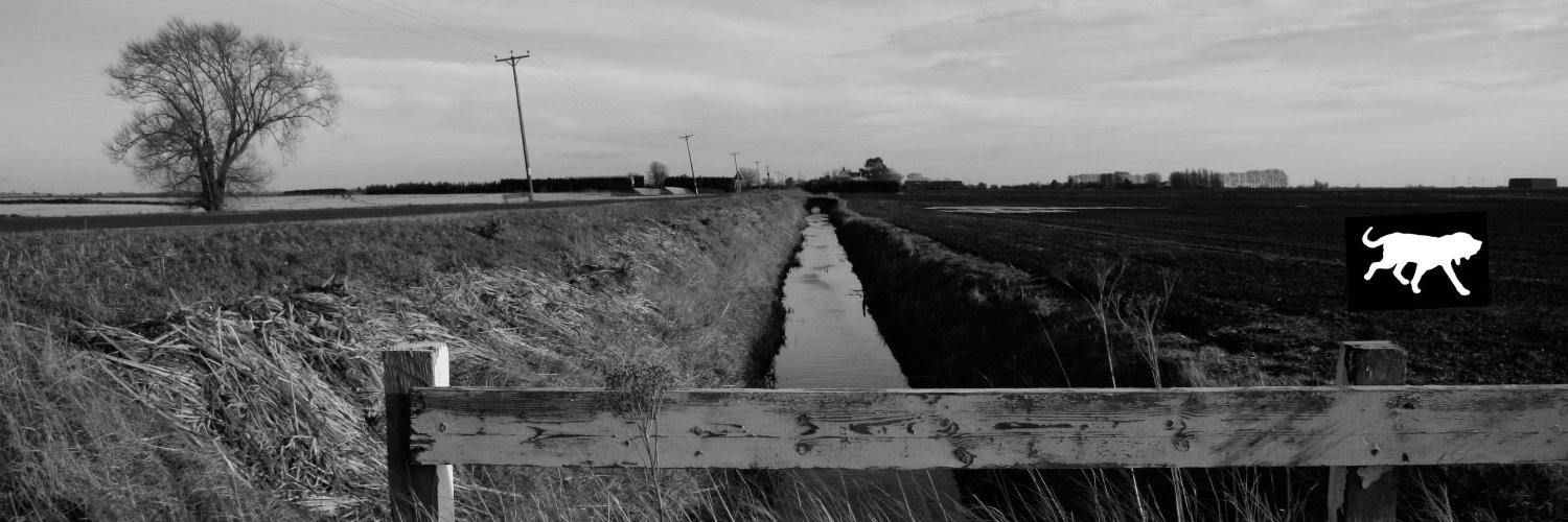 CAJamesWriter's profile banner image