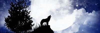 sebapci's profile banner image