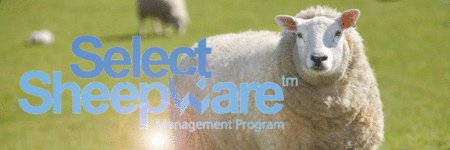 tgmsoftware's profile banner image