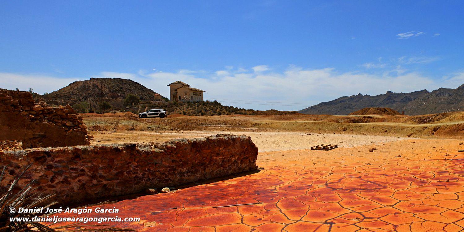 Inma Rosillo Soler banner