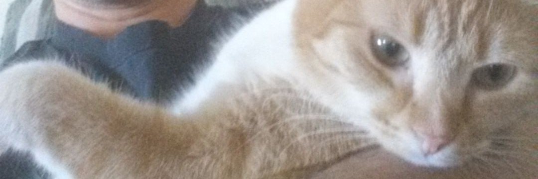 Johnydingel's profile banner image