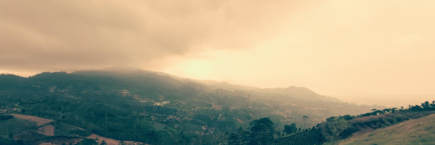 ulett_m's profile banner image