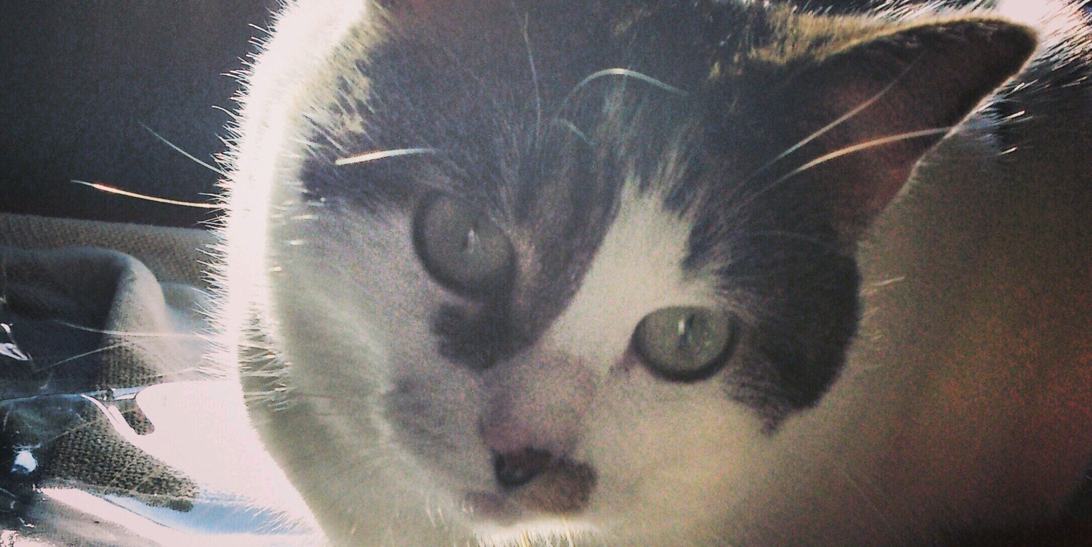 KarmaBeatsYOU's profile banner image
