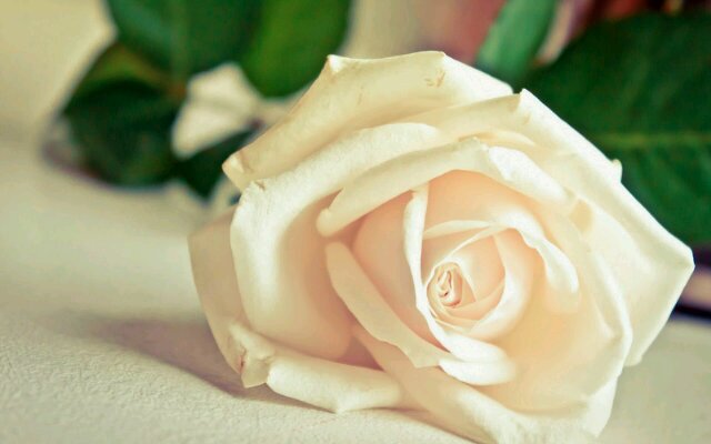 MutiaAnzaani's profile banner image