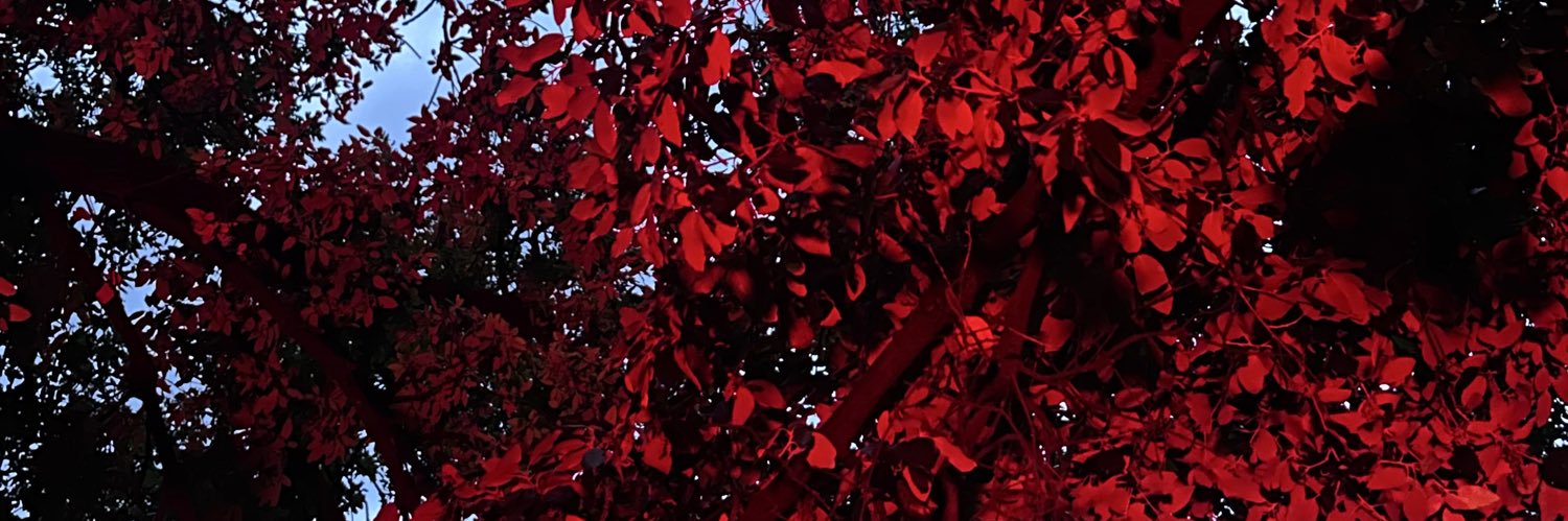 Methodrone__'s profile banner image