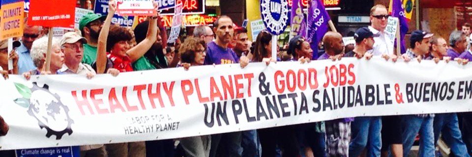 Alison Corwin banner