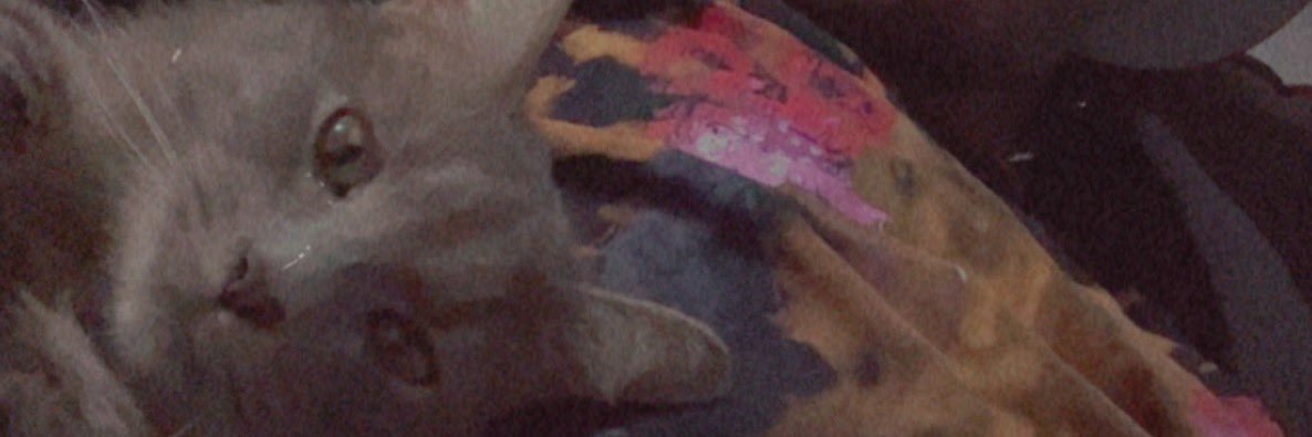 Re_montae's profile banner image