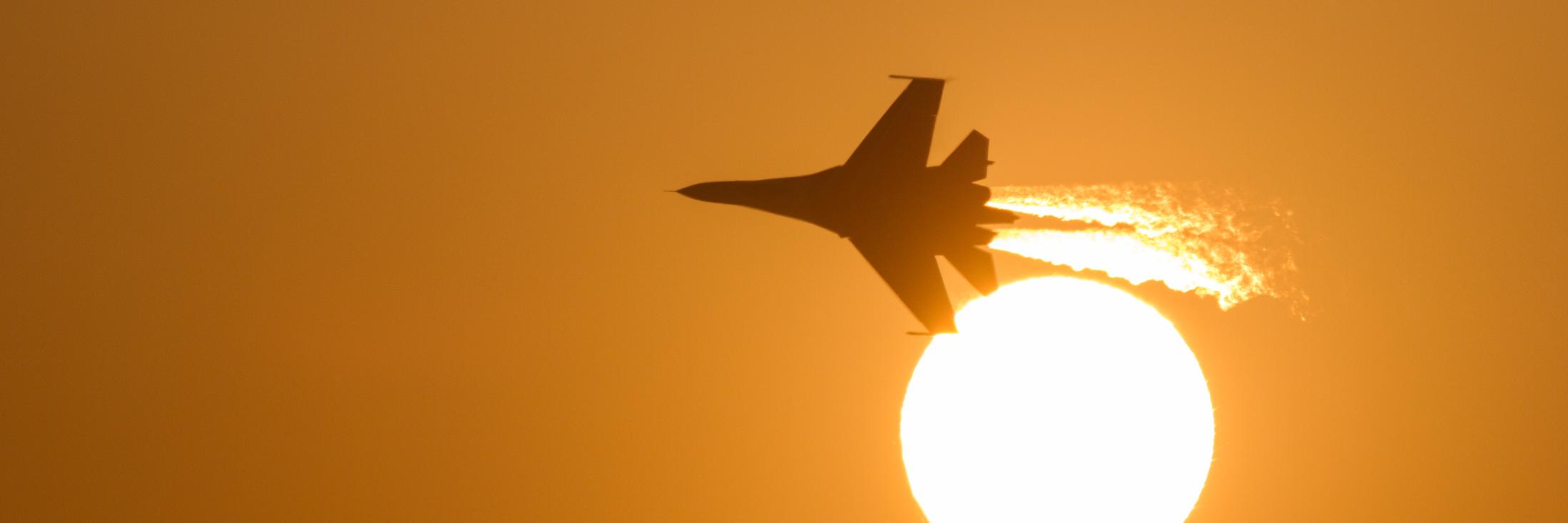 Davide Daverio banner