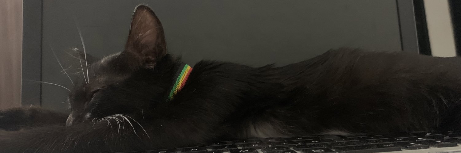 LauraVjar's profile banner image