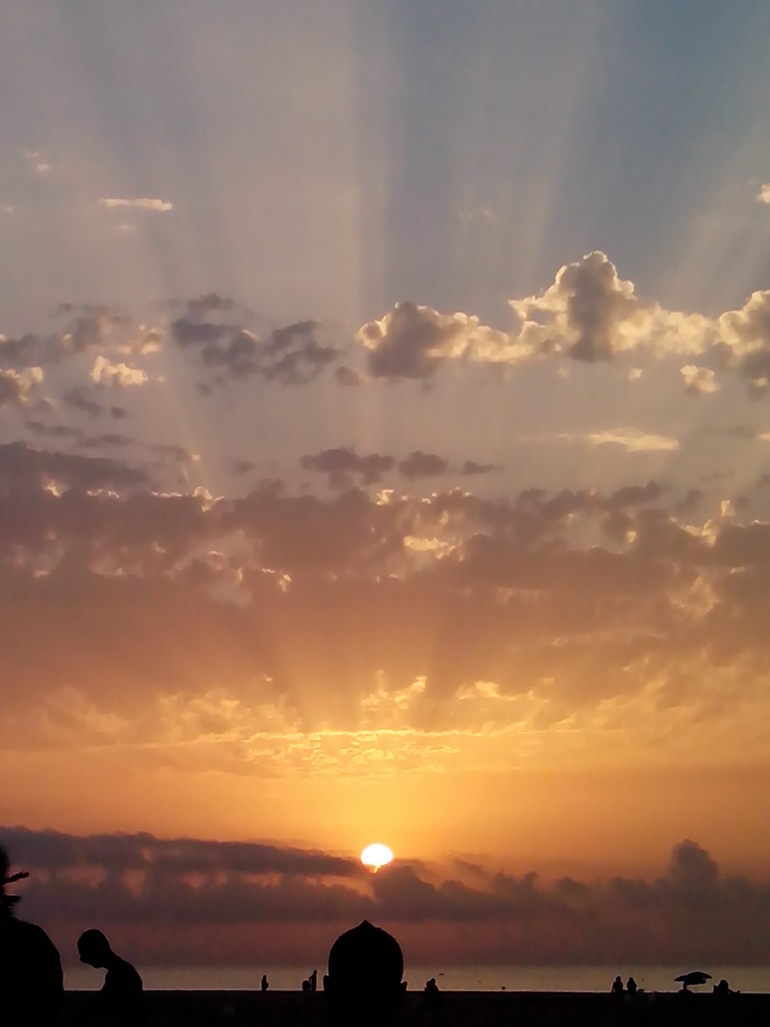 Sandra7Rodri's profile banner image