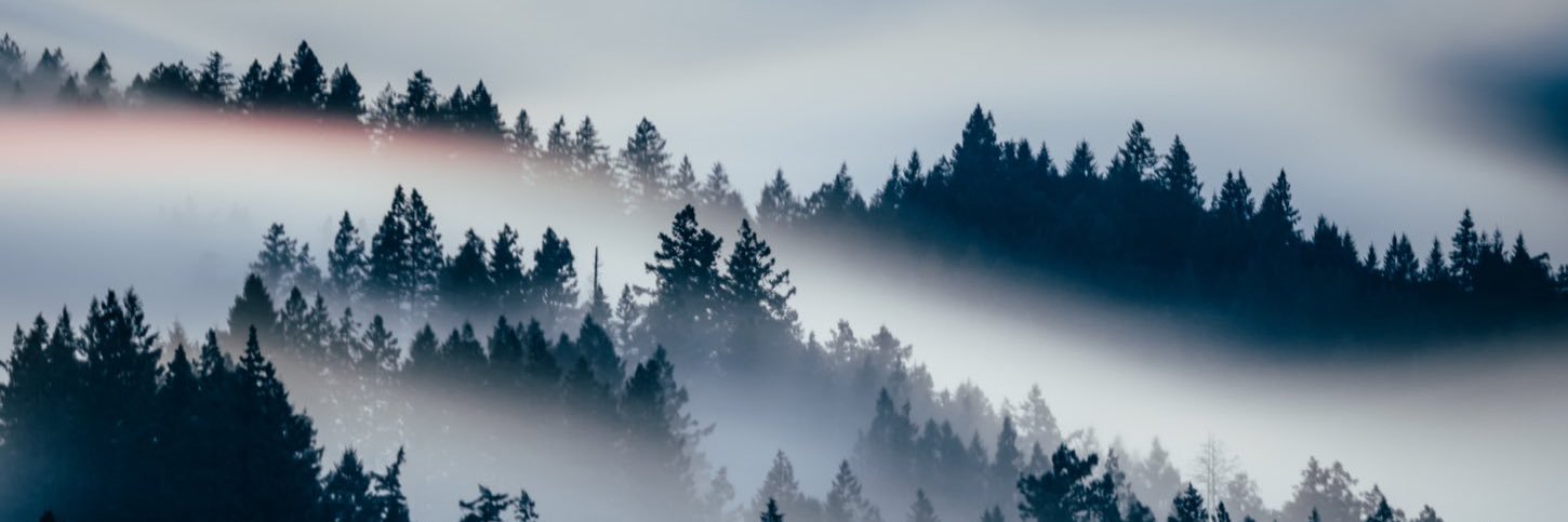 Gary_Tard69's profile banner image