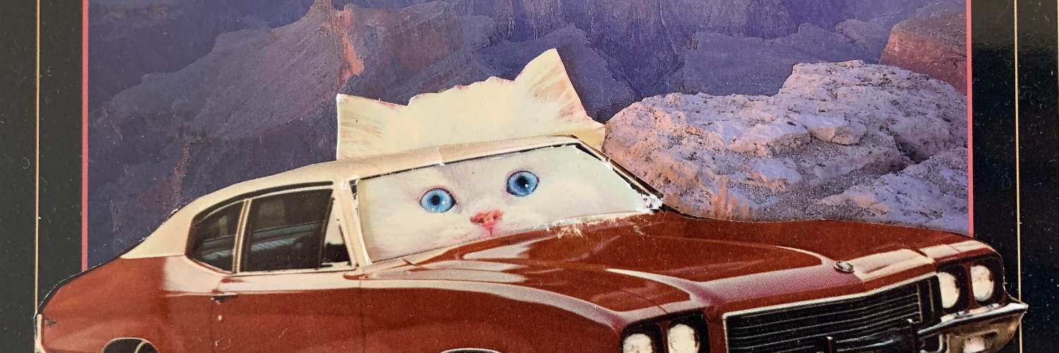 jillianbanner's profile banner image