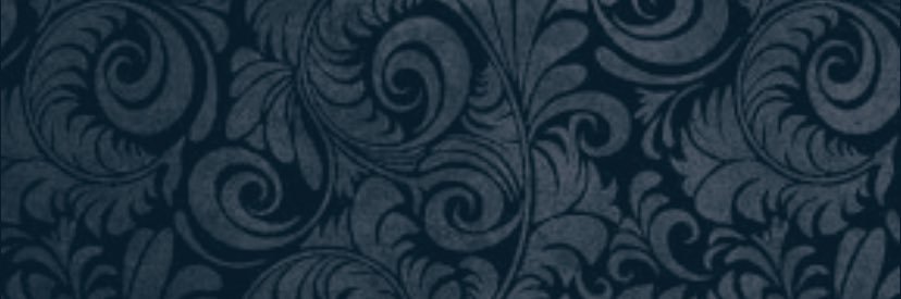 SinesAmy's profile banner image