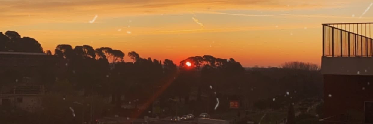 sunfIowrss's profile banner image