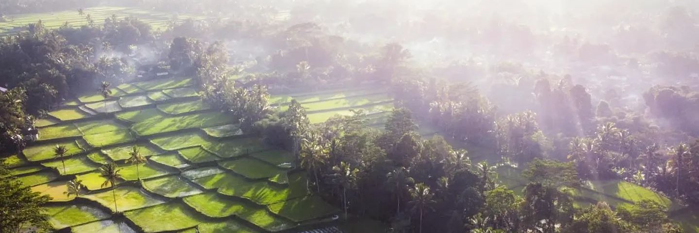 bighell85's profile banner image