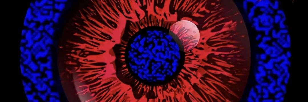 MSovak's profile banner image