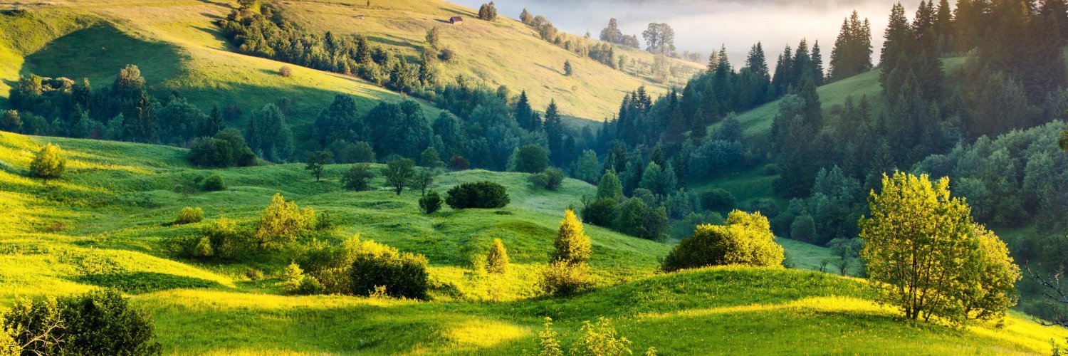 Sümeyye Başaran banner