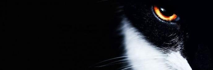 Quentinou73's profile banner image