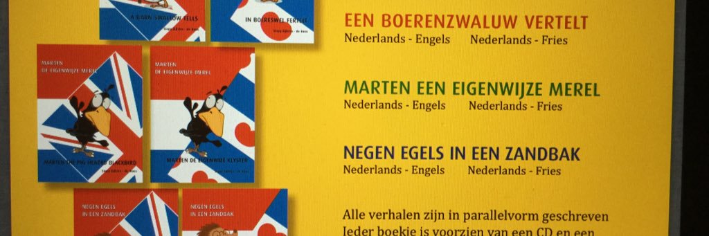 siepyzijlstra's profile banner image